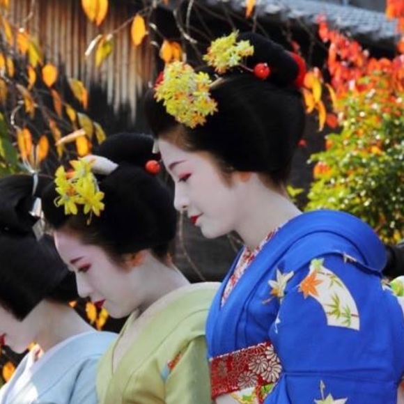 Meet your Posher, Iris - Picture 6 of 6